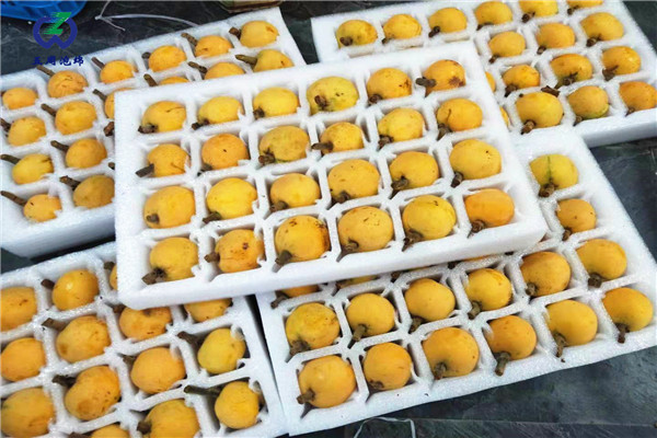 定做枇杷托的材料是環(huán)保的嗎？