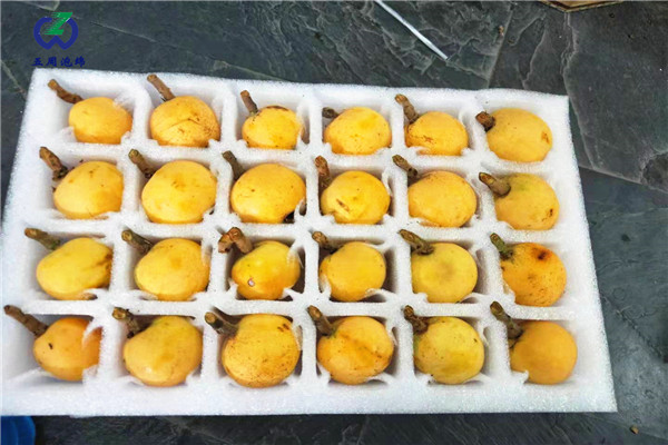 枇杷內(nèi)托的制作材料對人體有害嗎？