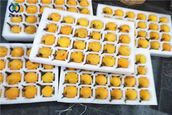 珍珠棉水果托定做，就找五周泡綿